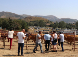 Cantabria ampliar� las medidas frente a la Dermatosis Nodular Contagiosa hasta el 31 de julio