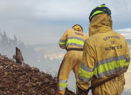 Cantabria aprueba el Plan Anual de Incendios Forestales para 2026 dotado con m�s de 7 millones de euros