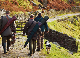 Cantabria confirma un caso de enfermedad de Aujeszky en un perro que hab�a participado en una monter�a