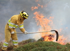 Cantabria destina 220.000 euros para que los ayuntamientos elaboren gu�as de actuaci�n frente a incendios forestales