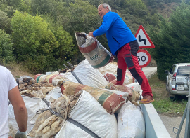 Cantabria ha recogido unas 18 toneladas de lana de oveja sin salida comercial, dentro de un proyecto piloto pionero en Espa�a