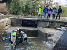 Cantabria inicia la campaa anual de control de la reproduccin de salmones y truchas en las cuencas fluviales de la regin