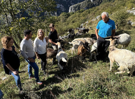Cantabria inicia el pago de las ayudas a la ganader�a sostenible de ovino y caprino por un total de 100.000 euros
