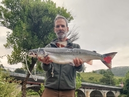 Capturan el 'campanu' de Cantabria en aguas del Nansa