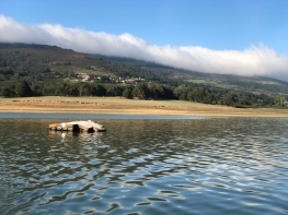 Una charca polivalente y una isla flotante, las nuevas infraestructuras para fomentar la biodiversidad en el Embalse del Ebro