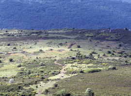 La Comisi�n Regional de Montes aprueba una inversi�n de casi un mill�n de euros para 30 actuaciones en montes de utilidad p�blica 