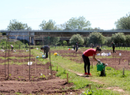 La concejal�a de Medio Ambiente de Reinosa organiza un curso de horticultura ecol�gica
