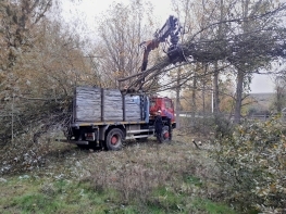La Confederaci�n Hidrogr�fica del Duero inicia la limpieza del cauce del Camesa y del arroyo de La Hoya a su paso por Mataporquera