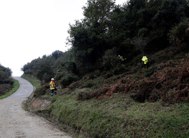 Convocadas ayudas por 2 millones de euros para mejorar los pastizales de aprovechamiento comn en 2026