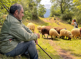 Cultura convoca un encuentro t�cnico para analizar el papel clave de las comunidades rurales en la conservaci�n del territorio 