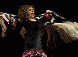 'Cultura y Territorio 2026' llegar� a 61 ayuntamientos con m�s de 300 propuestas art�sticas