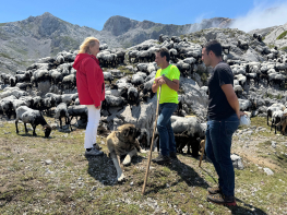 Desarrollo Rural convoca ayudas para la conservaci�n y promoci�n de las razas aut�ctonas de ganado ovino y caprino