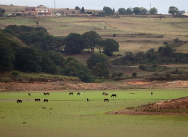 El Embalse est al 23,5 %