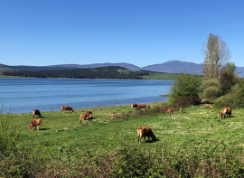 El Embalse del Ebro se acerca al 75% de su capacidad a finales de abril