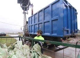 Enmedio aprueba nuevas medidas sobre residuos ganaderos