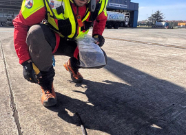 Evacuado en helic�ptero un senderista en estado grave tras ser mordido por una v�bora