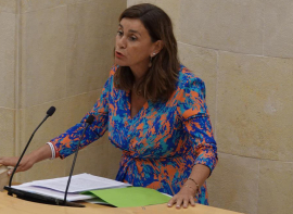 Fern�ndez Via�a lamenta el mensaje 