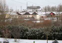 El fro y la nieve acompaarn las celebraciones de San Sebastin