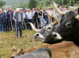 El Gobierno de Cantabria abona cerca de 6 millones de euros en ayudas directas al sector primario