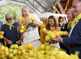 El Gobierno de Cantabria declara los Limones Solidarios de Novales como Fiesta de Inter�s Tur�stico Regional 