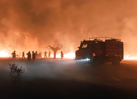 El Gobierno de Cantabria env�a efectivos para lucha contra los incendios forestales a Castilla y Le�n