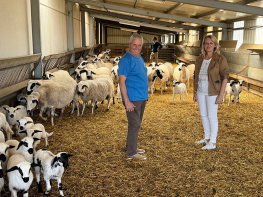 El Gobierno inicia el pago del saldo del 90% de las ayudas directas por superficie del 2025 a 7.782 beneficiarios