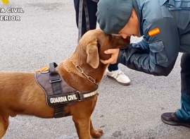 La Guardia Civil de Cantabria se despide de Max, uno de los perros detectores de explosivos, tras su jubilaci�n 