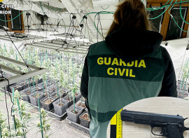 La Guardia Civil desmantela una plantacin indoor de marihuana e interviene 333 plantas