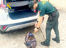 La Guardia Civil intercepta a dos furtivos en la costa de Arroyo-Santillana del Mar con m�s de 16 kilos de percebes