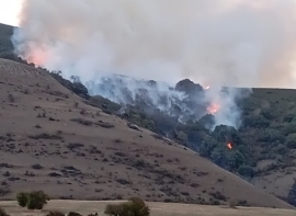 El incendio forestal originado sobre Aradillos, qued� controlado esta madrugada