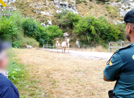 Investigada una mujer por un presunto delito de estafa que podr�a alcanzar los 190.000 euros a un hombre de 84 a�os que se qued� sin recursos