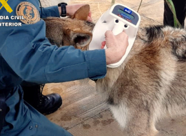 Investigado un hombre de 84 a�os por arrastrar a su perro atado al parachoques de un veh�culo