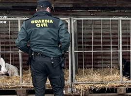 Investigado el presunto autor de un doble delito por sustraer un ternero y 50 kilos de cableado de cobre