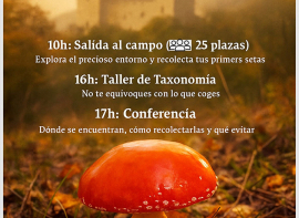 Jornada micolgica en el Castillo de Argeso