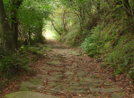 Manuel Garca Alonso imparte este lunes en La Casona de Reinosa la conferencia 'Etnoarqueologa en el corredor Ebro-Besaya'