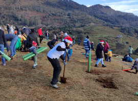 M�s de 300 voluntarios plantan 1.300 �rboles aut�ctonos en Cab�rceno
