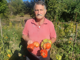 El Mejor tomate valluco de 2022 es el de Michel