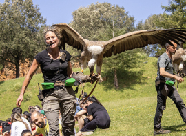 Los menores de 12 a�os que acudan disfrazados a Cab�rceno del 16 al 20 de febrero podr�n entrar gratis 