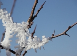 El mercurio se desploma en Nestares hasta los -7,7C, la segunda temperatura ms baja de Espaa