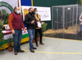 Miguel Herrero gana con sus gallinas pedresas el monográfico del VI Concurso de Avicultura de Albelda de Iregua 