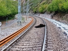 Muere un oso tras ser atropellado por un tren a la altura de Ca�eda 
