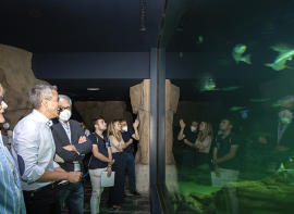 El Museo Marítimo del Cantábrico incorpora tres tiburones grises 