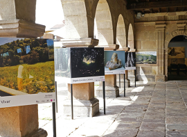 El Museo de la Naturaleza de Cantabria acoge una nueva edicin del programa 'Arte en la naturaleza