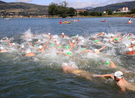 Nadadores al Pantano!