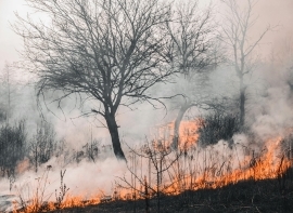No hay incendios forestales activos en Cantabria y los efectivos realizan labores preventivas y de extincin en Len y Palencia