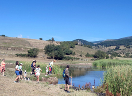 Nueva jornada gratuita para observar la fauna y flora en Casasola