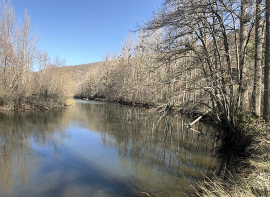 El Pantano supera el 75% de su capacidad antes de marzo