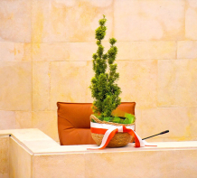 El Parlamento de Cantabria homenajea a Javier L�pez Marcano y coloca en su memoria un tejo en su esca�o