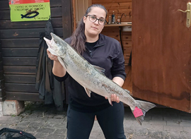 Pescado en el Pas el 'campanu' de Cantabria