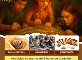 El Programa de Naturaleza municipal de Reinosa ofrece el taller Fsiles y dinosaurios para nios y jvenes